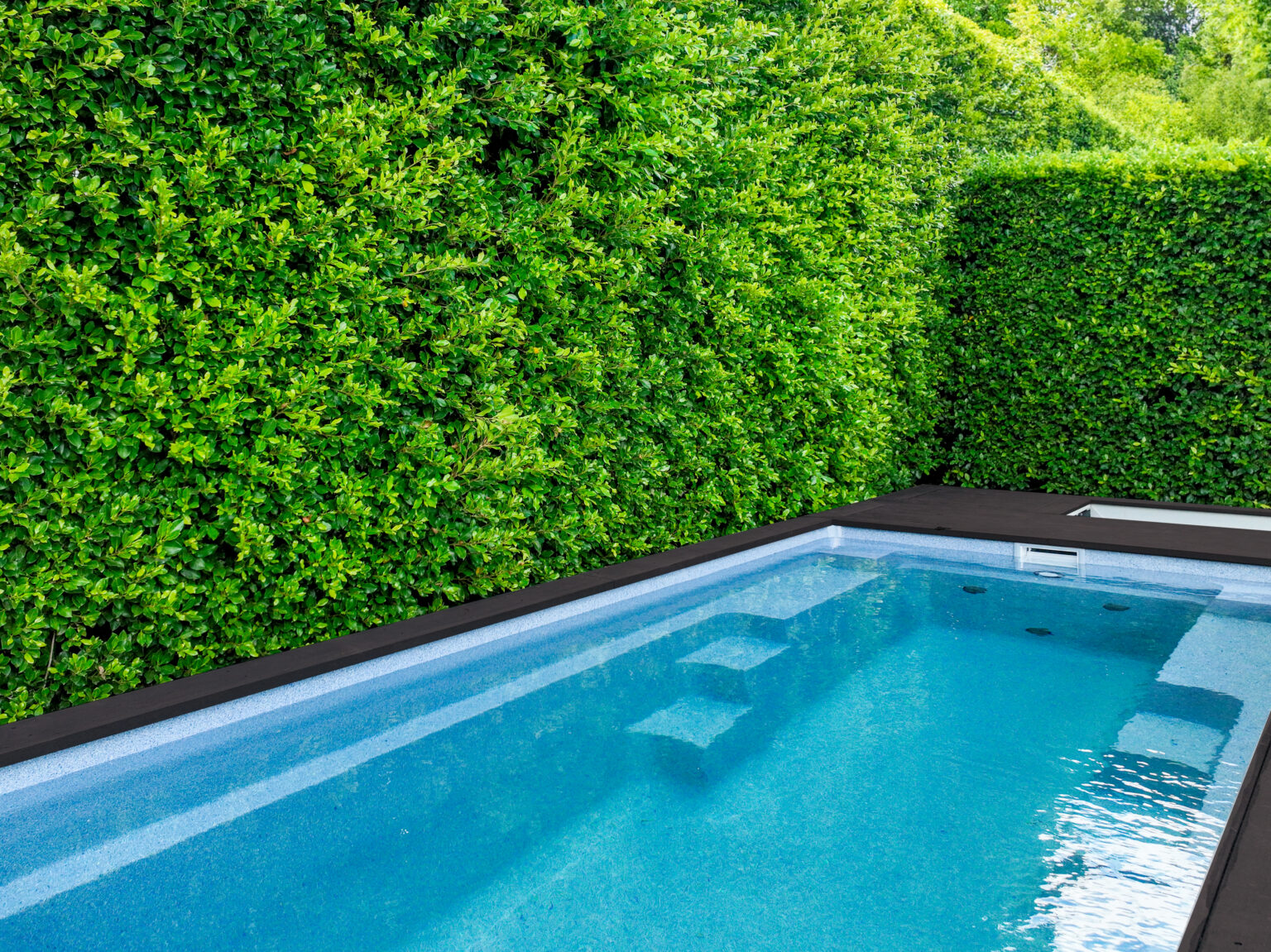 Narellan Go FAQ's Narellan Pools